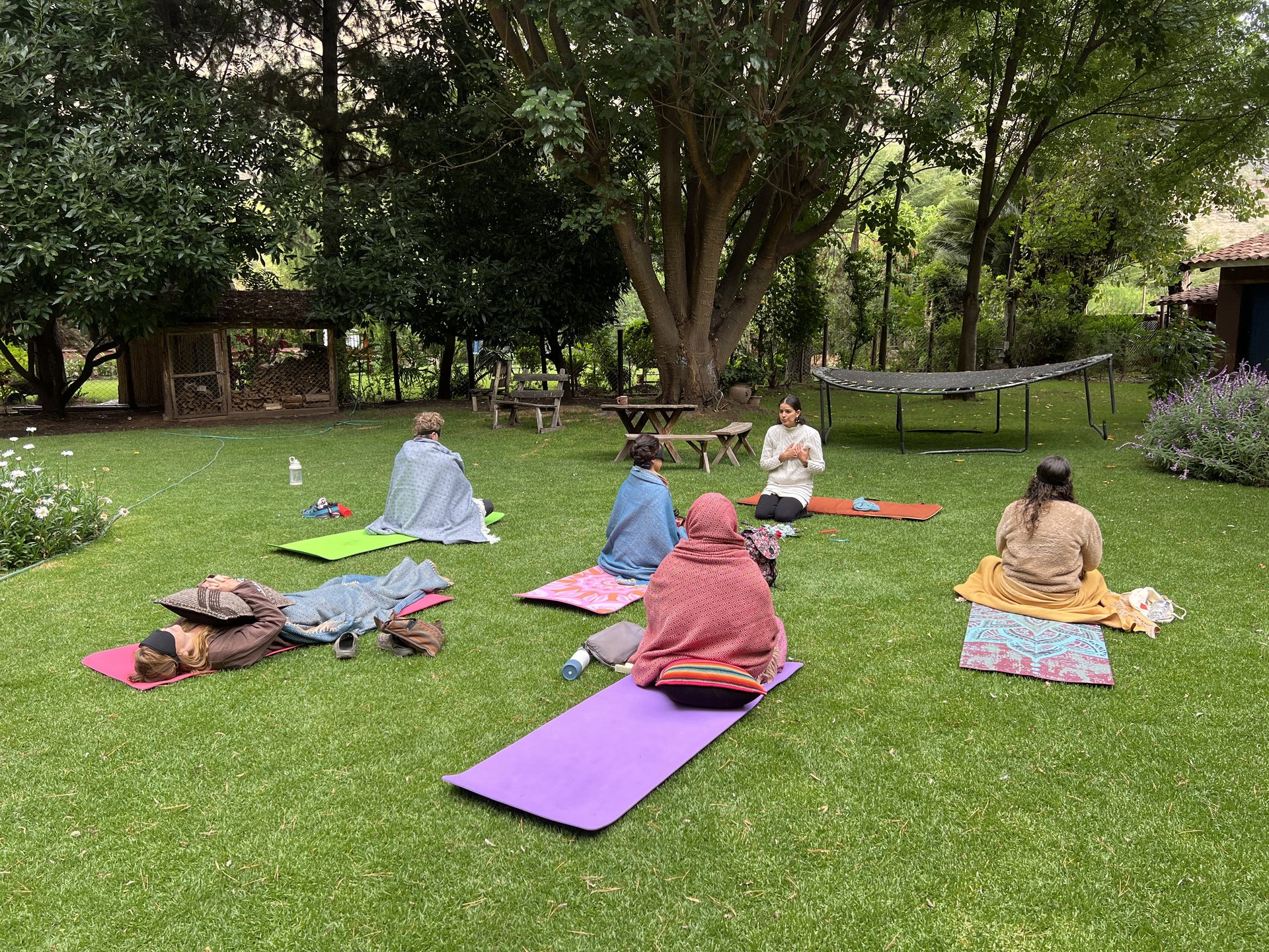 Yoga mats laid out on the lawn in the morning