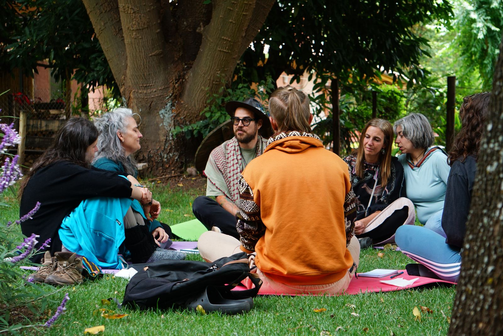 A group sits in a circle on the lawn under a large tree