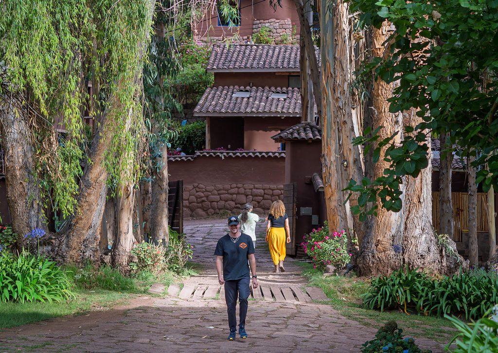 A stone path between tall eucalyptus trees leads to the houses