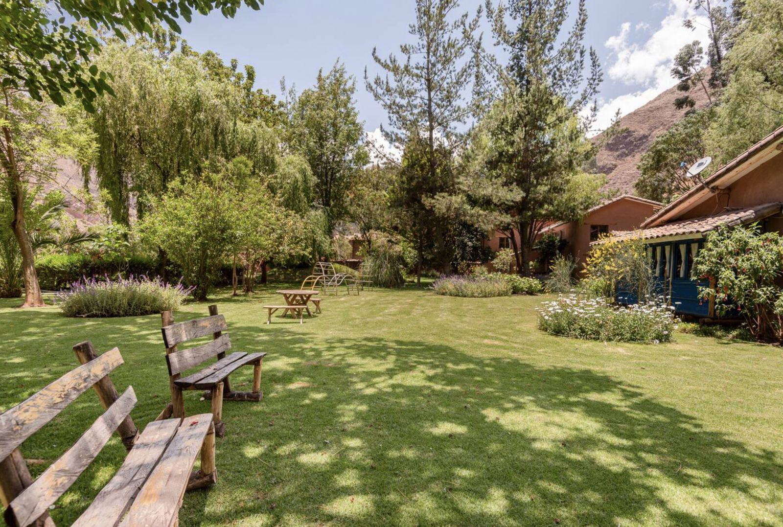 Sunny lawn with wooden benches and tall trees