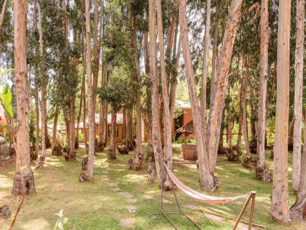 Garden at Melissa Wasi, Písac